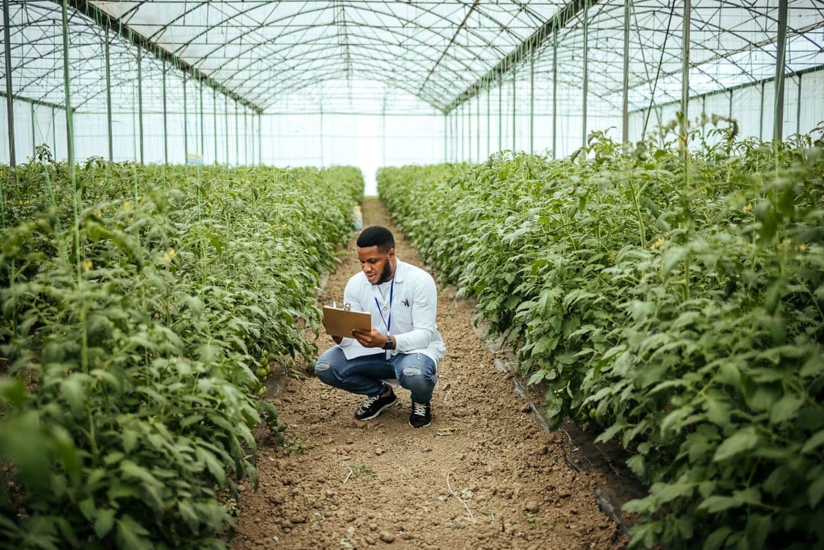 An agronomist inspecting greenhouse crops with a clipboard